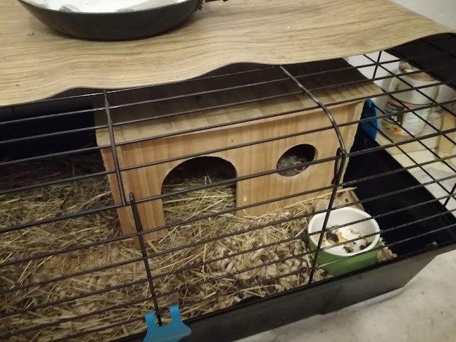 Comentarii opinii despre Hoděčínský rybník