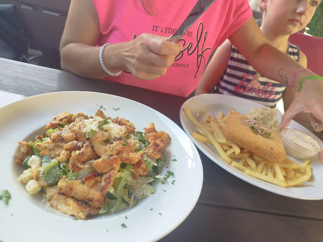 Opinii despre SALAŠKA restaurace + penzion în Staré Město - Gastronomie a pohostinství