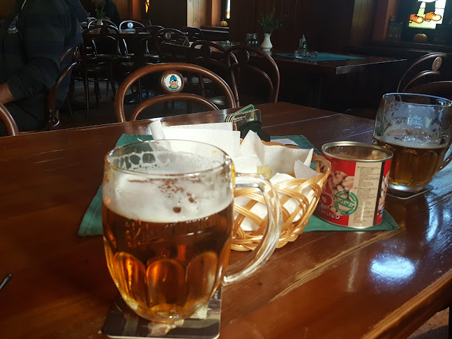 Comentarii opinii despre Švejk Pivnice U Věžičky