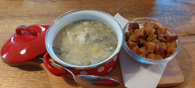 Opinii despre U Zlaté Koule în Olomouc - Gastronomie a pohostinství