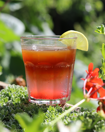 Hurdálkova 371, 547 01 Náchod 1