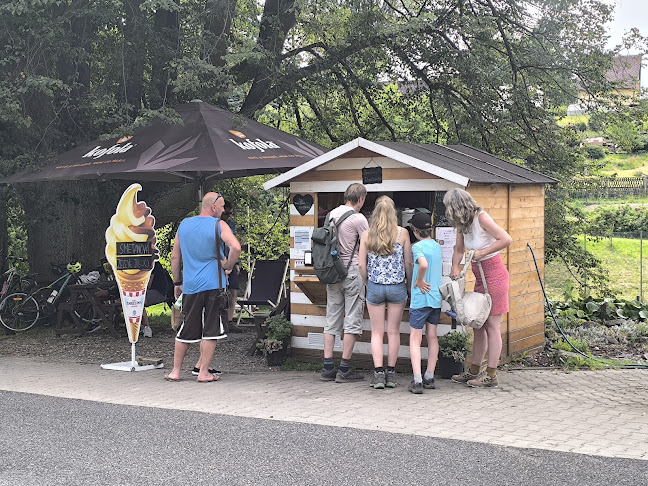 Zmrzlina Roubenka - Růžová