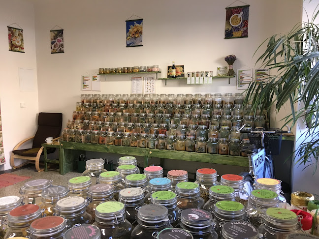 Rooseveltova 790/45, 160 00 Praha 6-Bubeneč