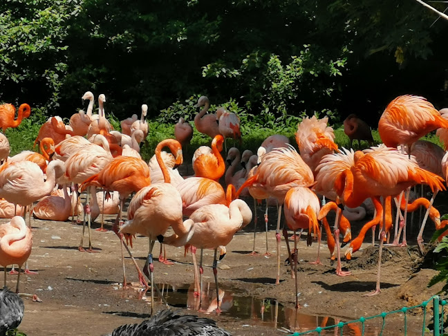 Opinii despre Občerstvení U Supa în Praha - Gastronomie a pohostinství