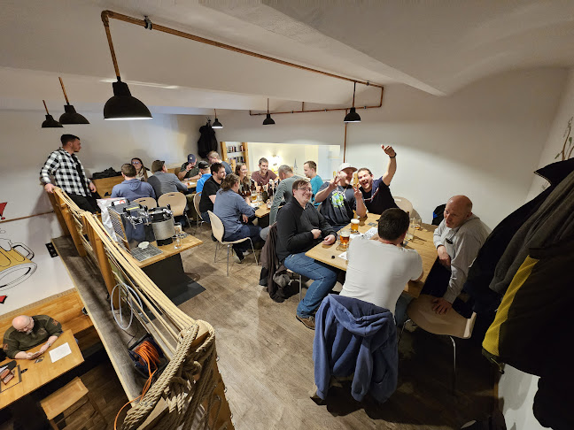 Comentarii opinii despre KEGzistence