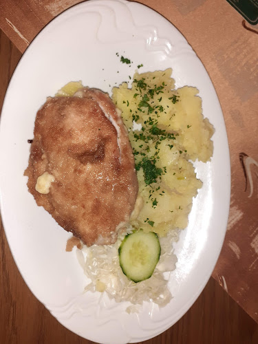 Opinii despre Restaurace U draka în Karlovy Vary - Gastronomie a pohostinství