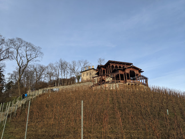 Viniční altán - Gastronomie a pohostinství