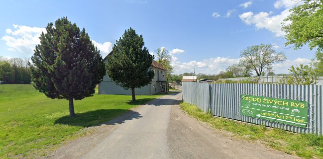 Rybářství Horák s.r.o. prodej živých ryb Sádky Šumvald