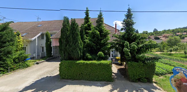 Zmrzlina Bohuslavice