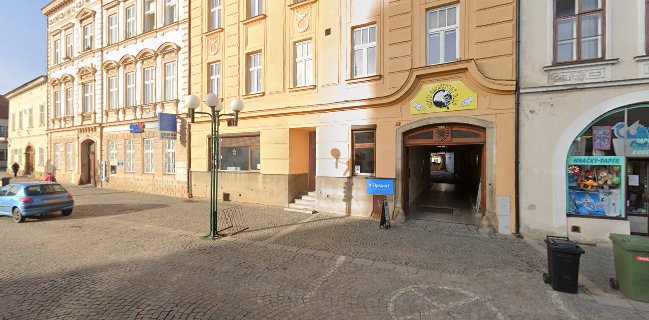 Kočičí kavárenský klub