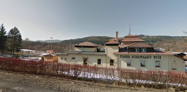 Schaumannův Dvůr s.r.o.