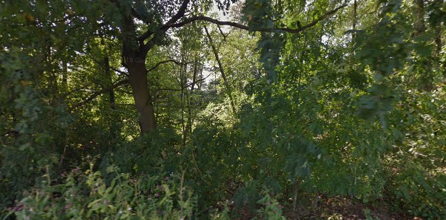 Opinii despre PÁDLO MORAVA cyklisticko-vodacký kemp, půjčovna lodí a raftů în Olomouc - Gastronomie a pohostinství