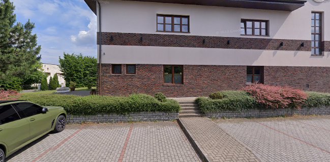 Opinii despre EL ASADOR Argentinská restaurace în Praha - Gastronomie a pohostinství