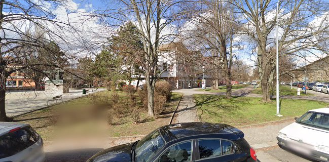 Maso uzeniny Sedmík