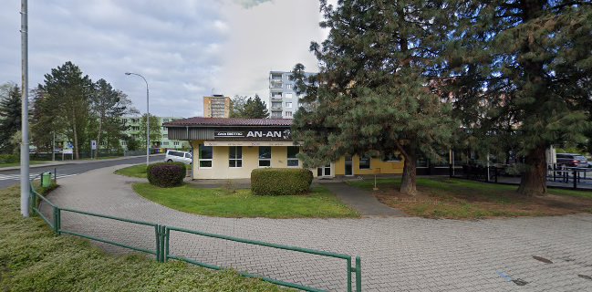 Opinii despre Asia Bistro An-An în Chodov - Gastronomie a pohostinství