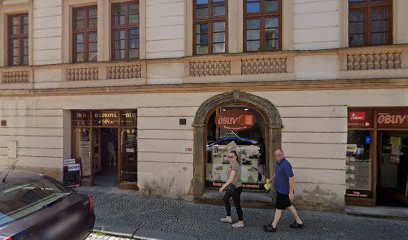 Alena Zpěváčková