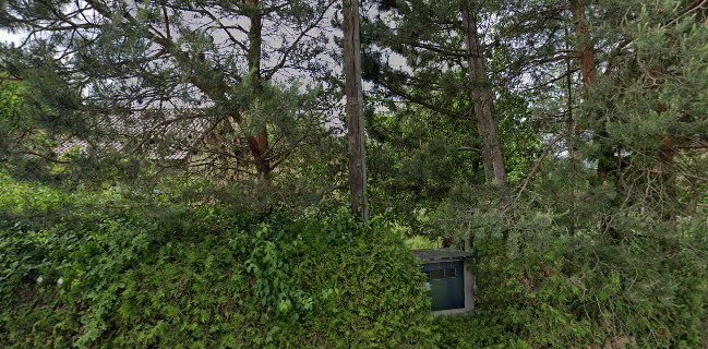 Pekárna Měník, prodejna