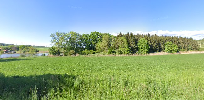 Hoděčínský rybník