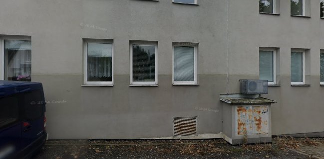 Kavárna v korunách stromů