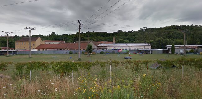 Psí škola na Ostrově Brno