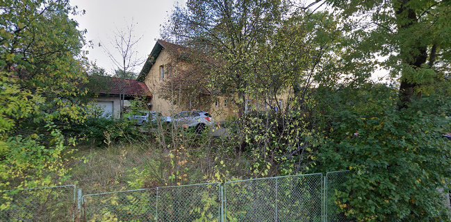 Pizzerie Steak GRUNT